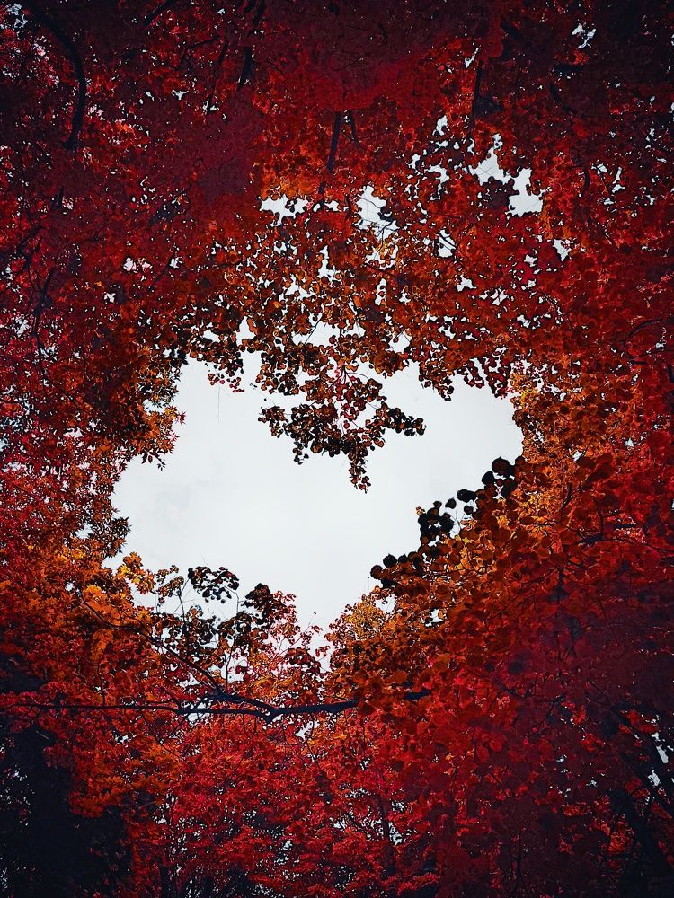 Photograph by Юлия Реутова
