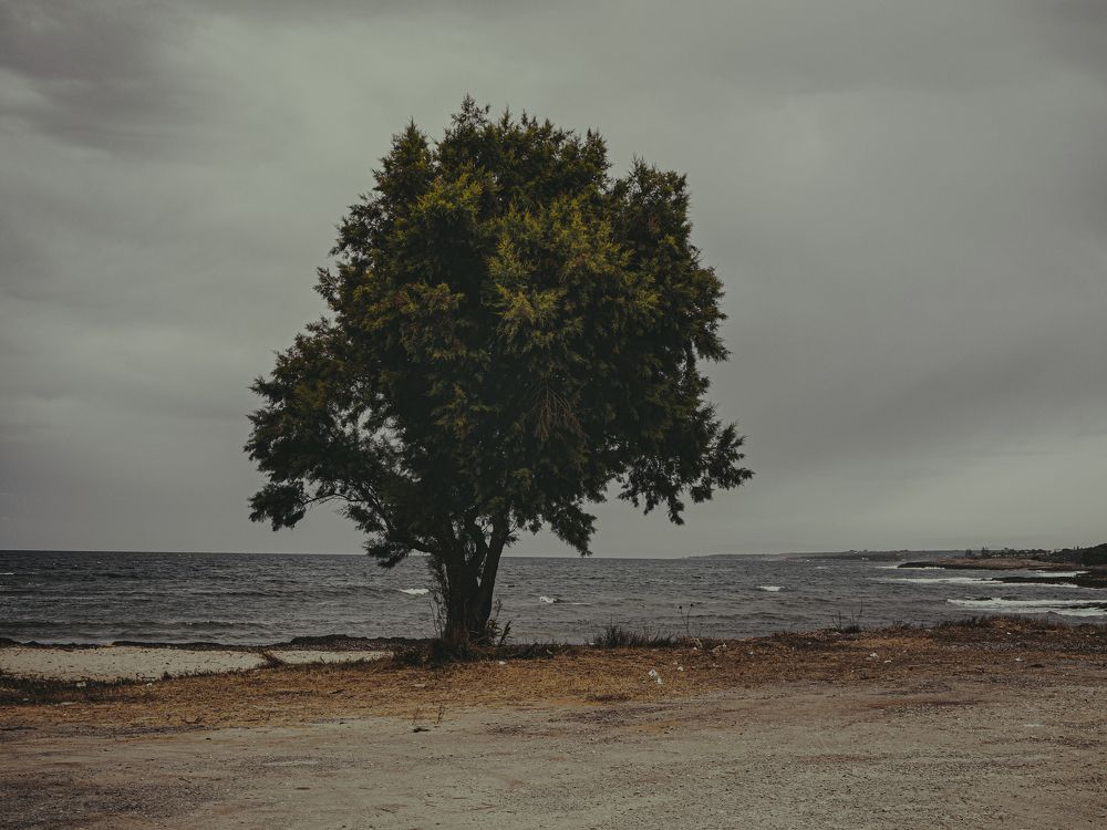 Photograph by Antonis Giakoumakis