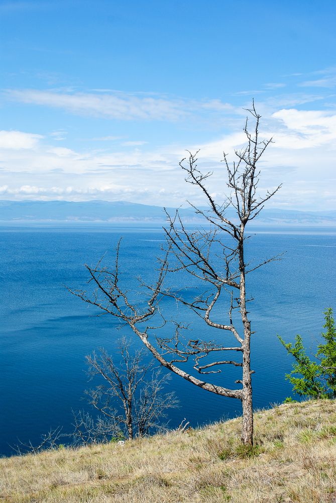 Photograph by Римма Муравская