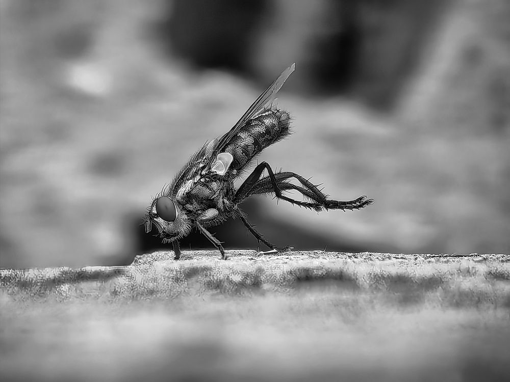 Photograph by Константин Бокарев