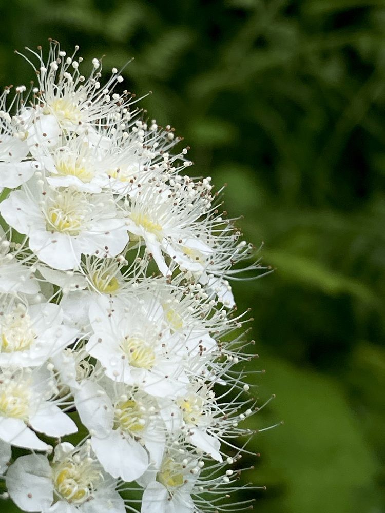 Photograph by Ольга Виноградова