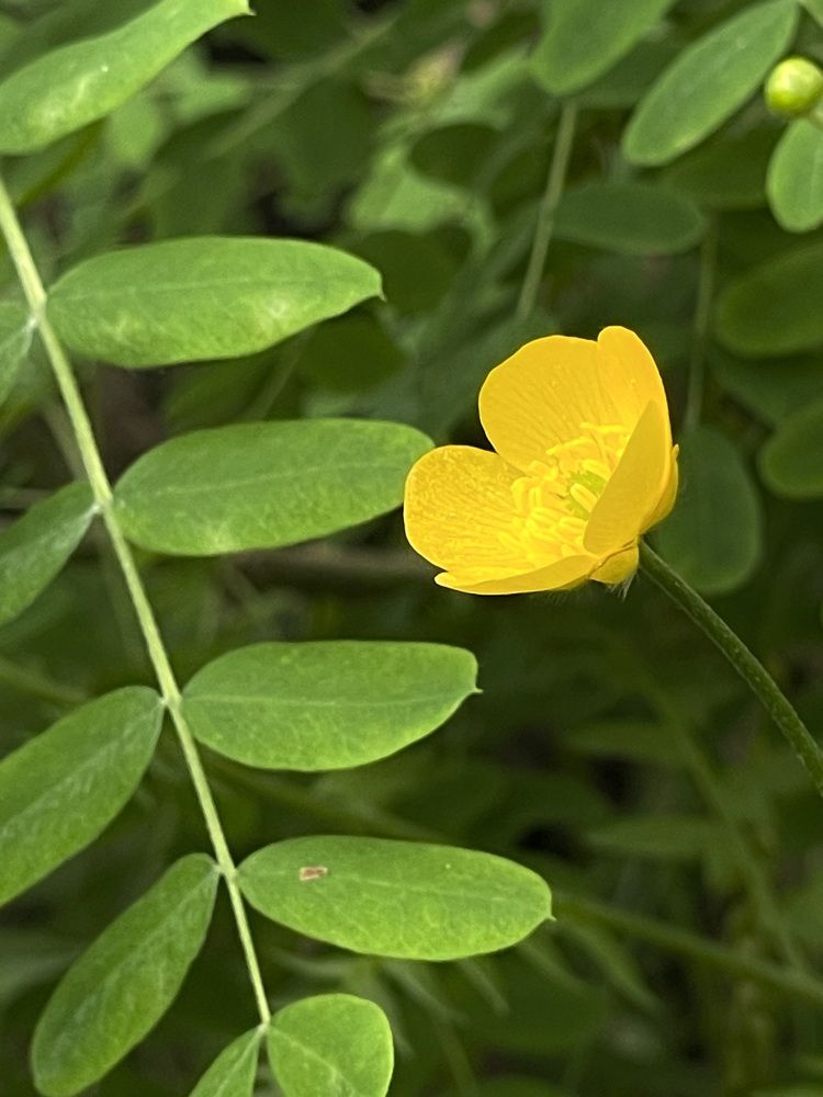 Photograph by Ольга Виноградова