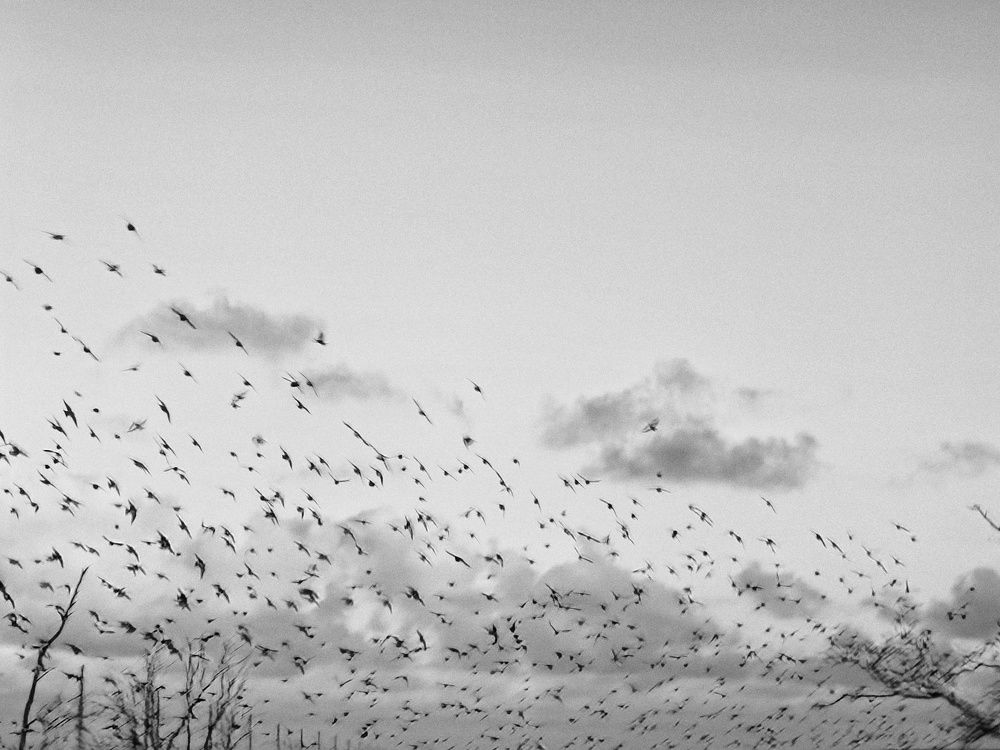 Photograph by Константин Бокарев