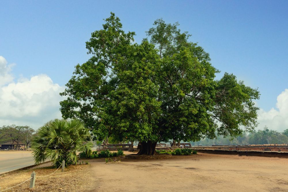 Photograph by Евгений Сорокин