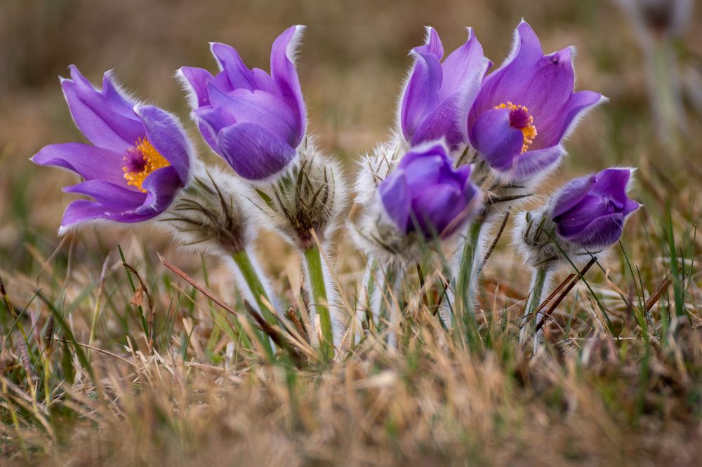 Photograph by Gregor Kobilica