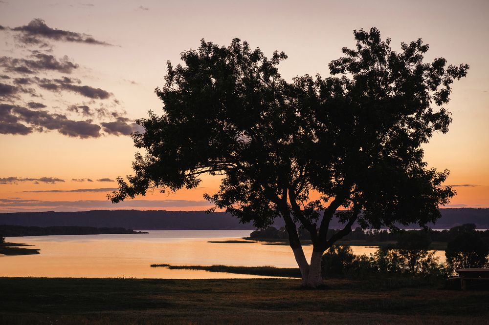 Photograph by Ольга Белопухова