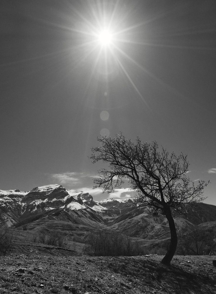 Photograph by Виктор Чернышов