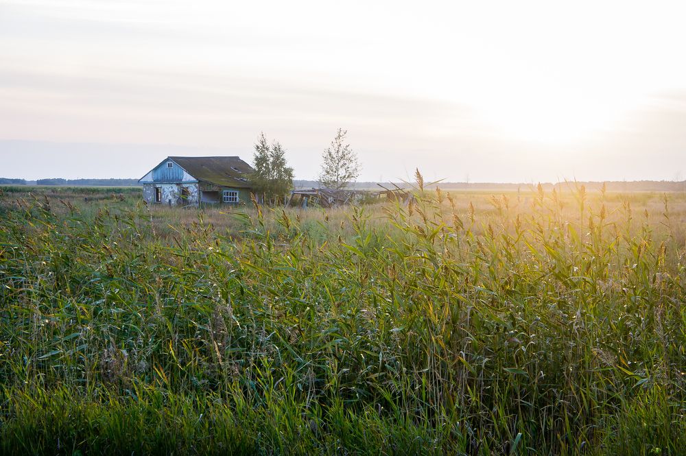 Photograph by Ольга Белопухова