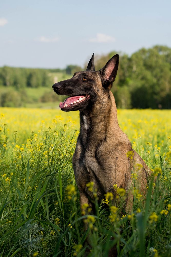 Photograph by Екатерина