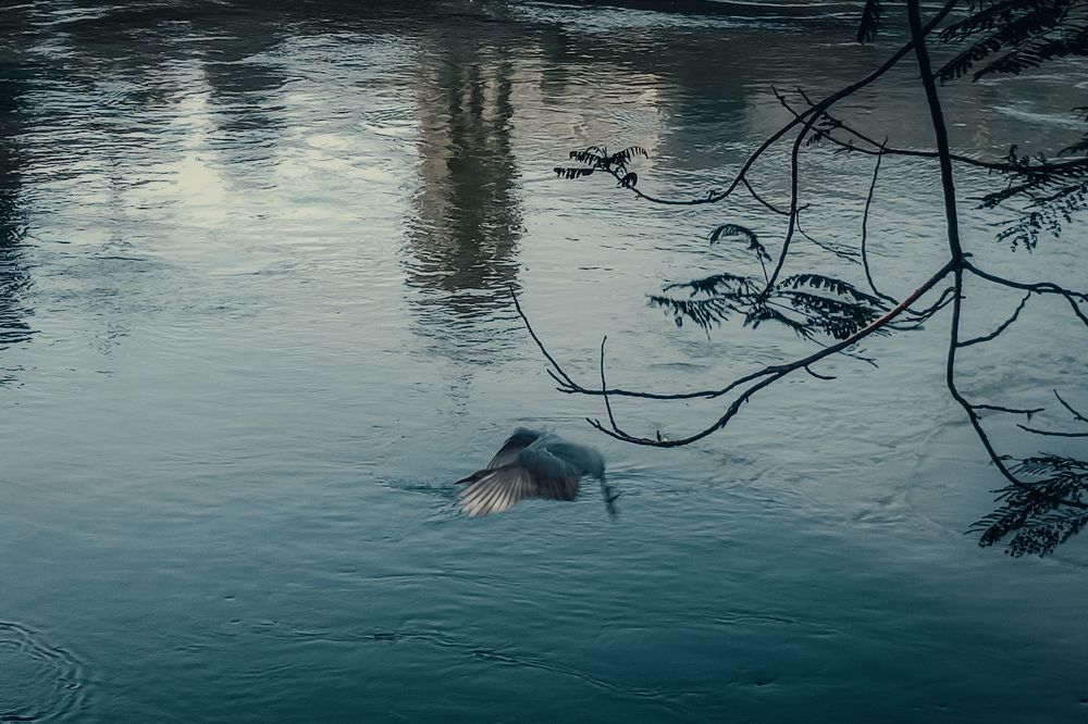 Photograph by Eslam Eslamsamy