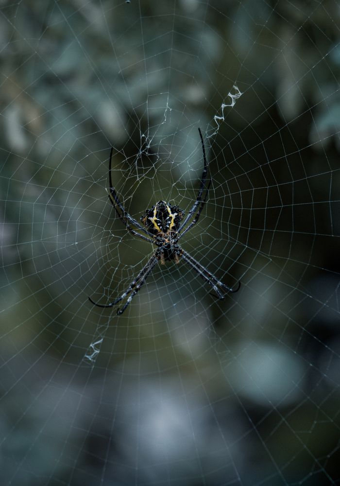 Photograph by Abhijith A S