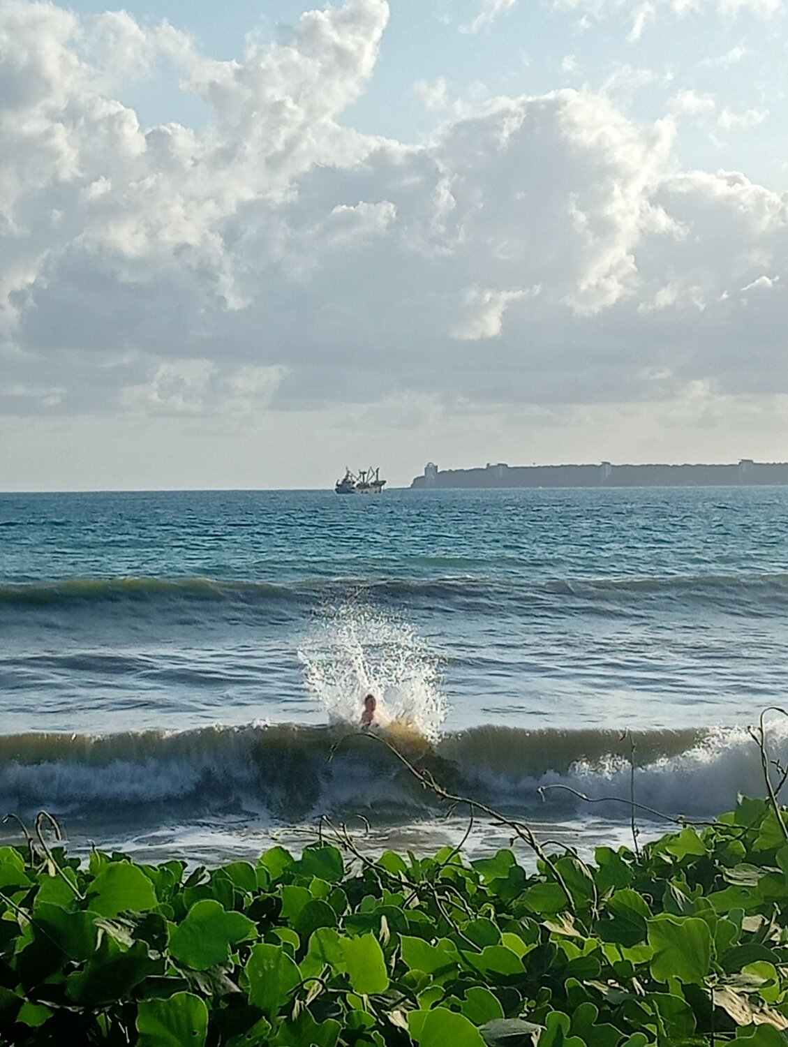Photo #10655940