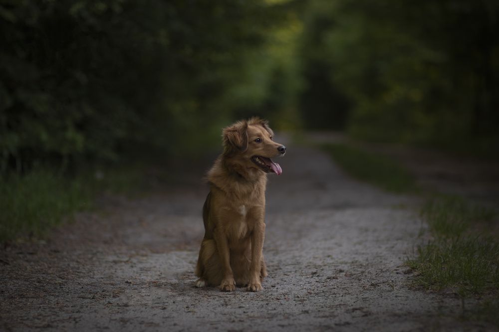 Photograph by Anastasia