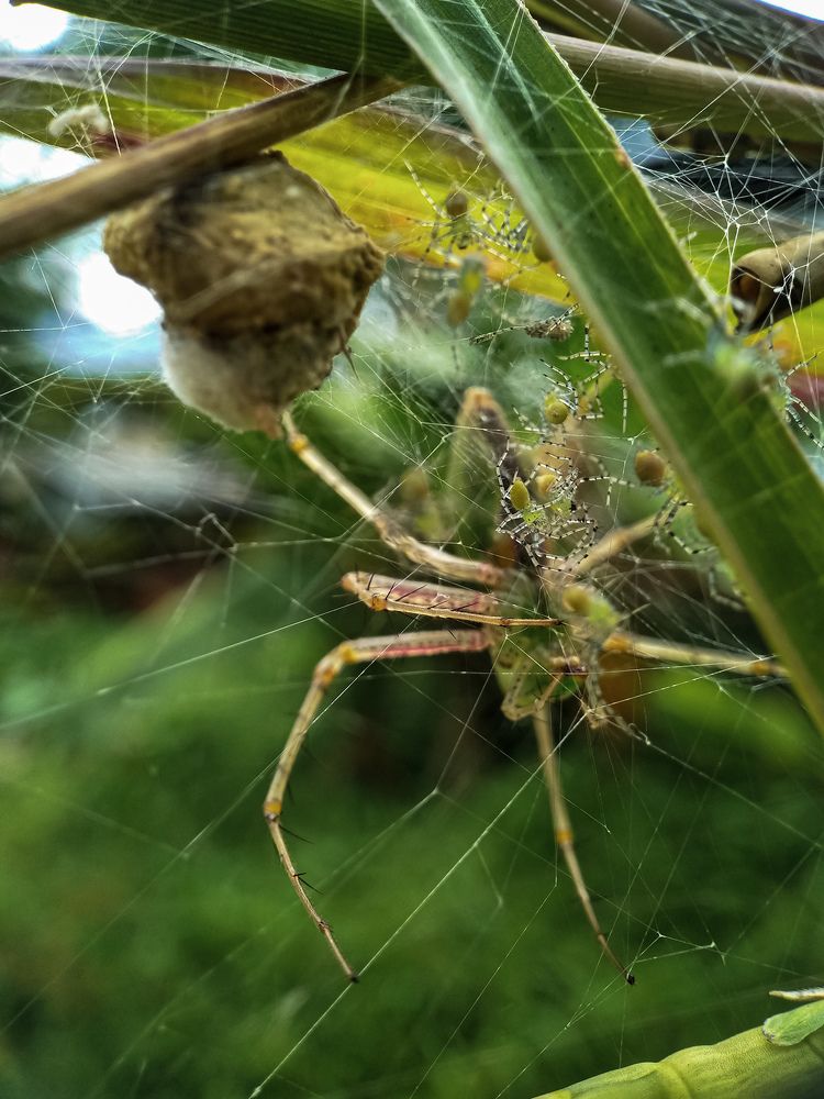 Photograph by Abhijith A S