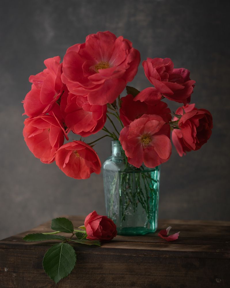 Photograph by Денис Ветренко