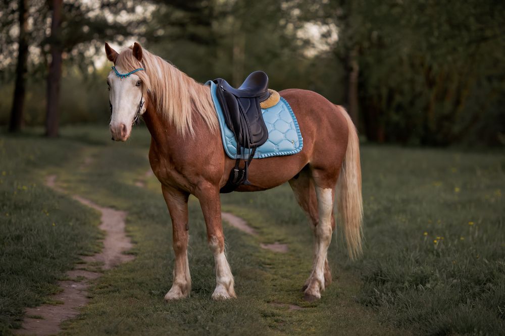 Photograph by оксана