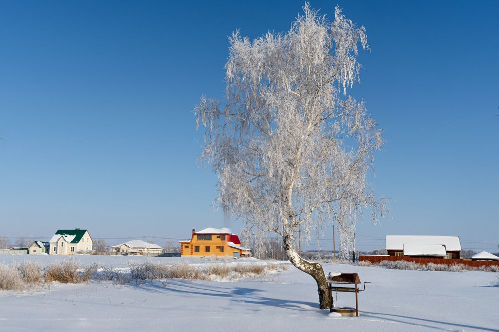 Фотография автора Николай Бологов