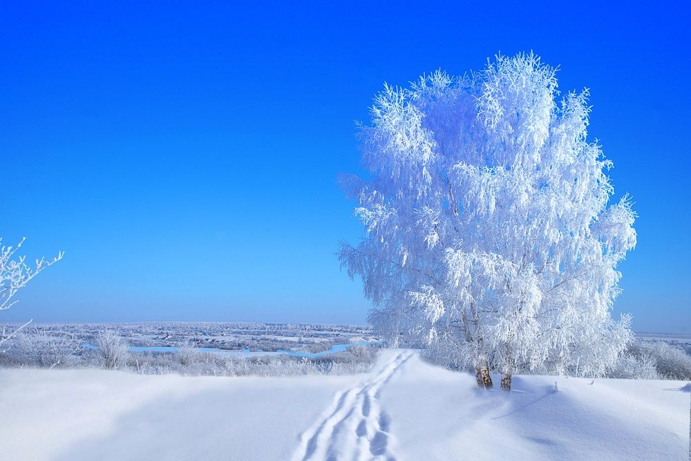 Фотография автора Николай Бологов