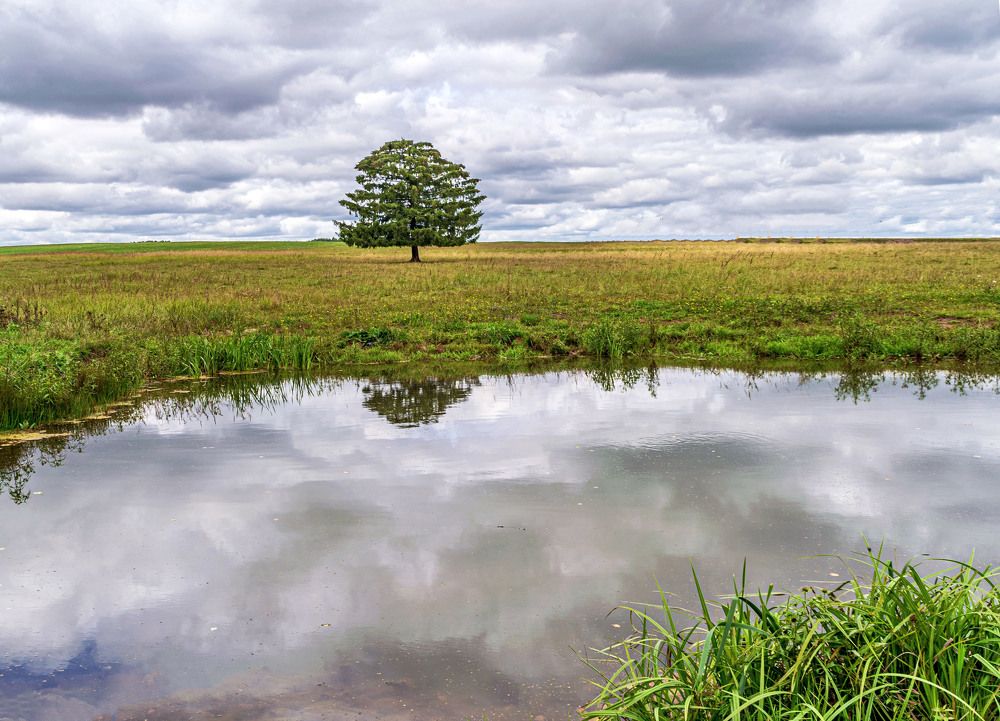 Photograph by Елена Чудиновских