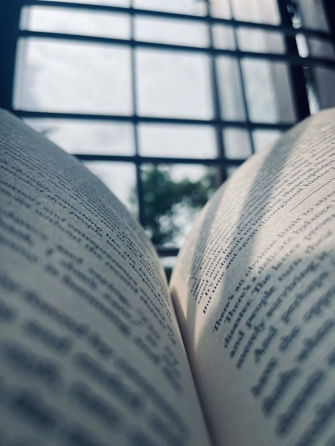 Photo #10656102