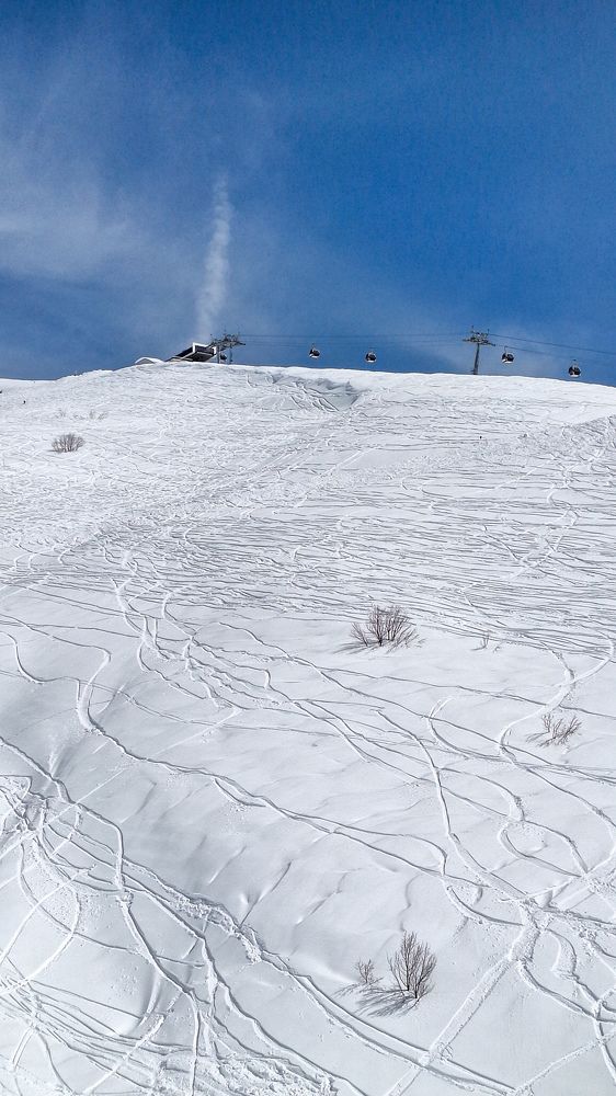 Фотография автора Владимир Романов