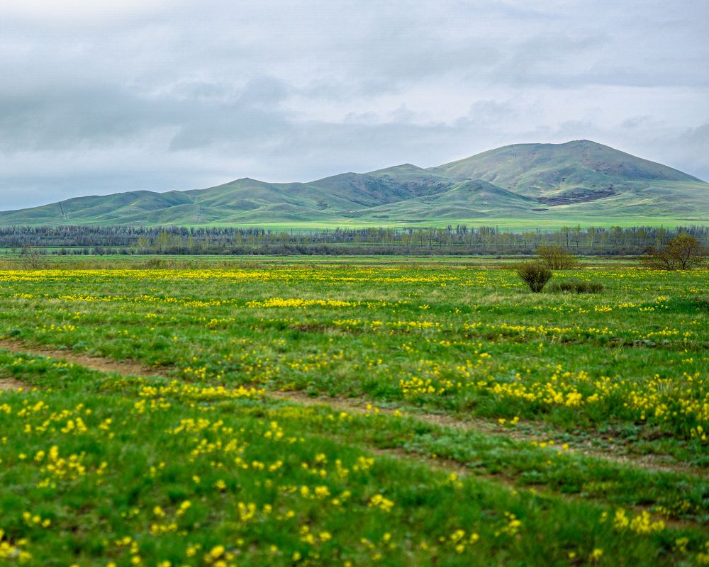 Фотография автора Руслан Токмагамбетов