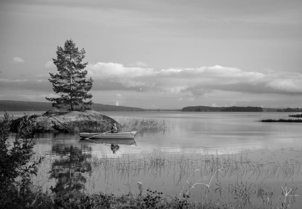 Photograph by Lev Kaufman