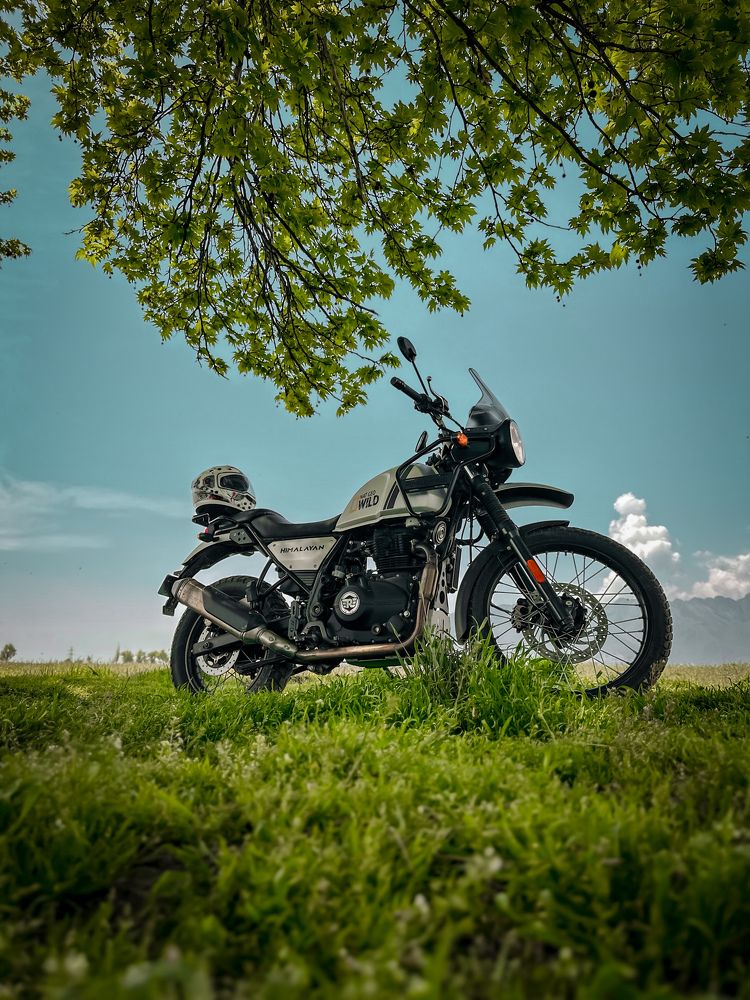 Photograph by Er Tanveer hussain Want