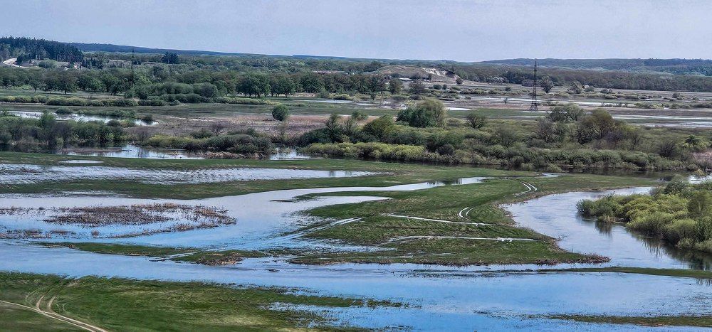 Photograph by mikhail goryachev