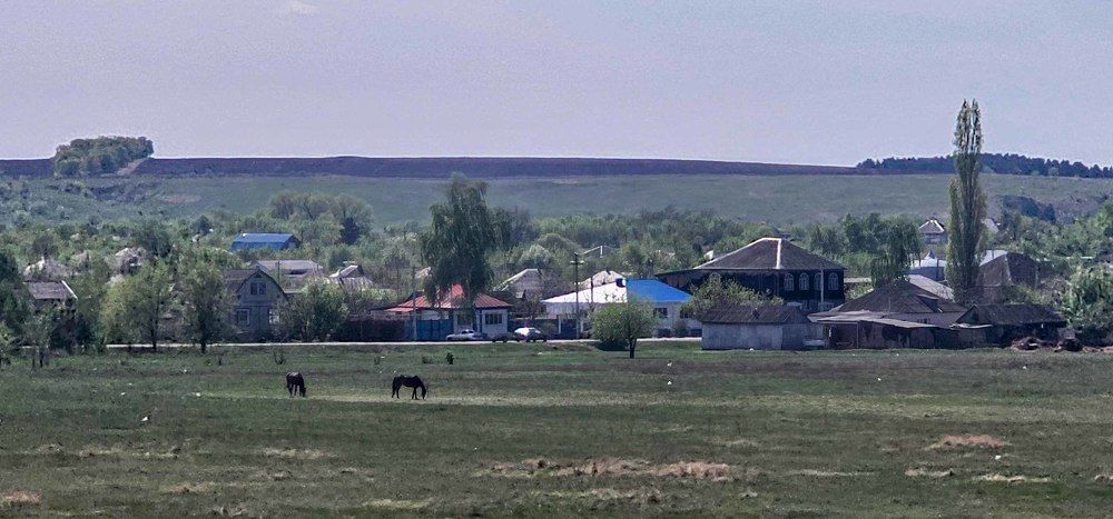 Photograph by mikhail goryachev