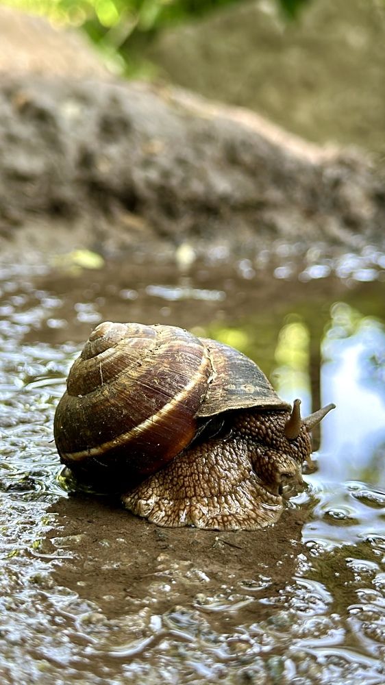 Фотография автора Alyanur Yuldasheva