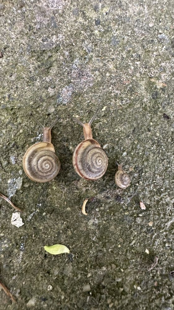 Фотография автора Alyanur Yuldasheva