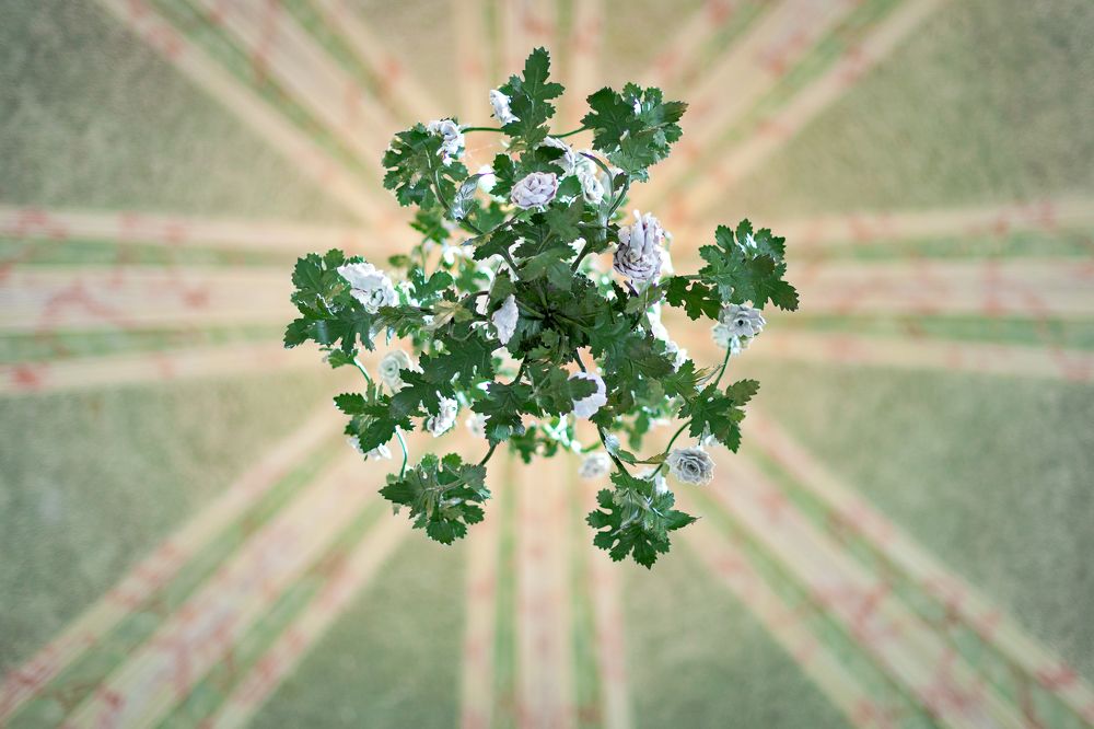 Photograph by Василий Ковалев