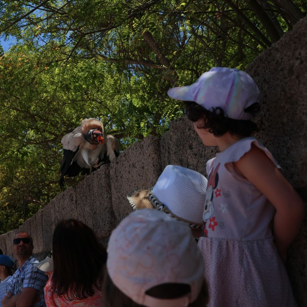 Photograph by Maxim Lipchenko