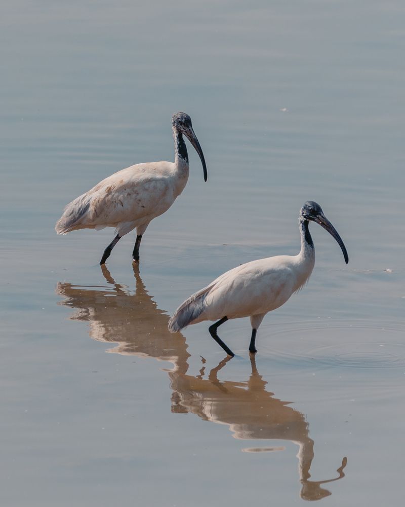 Photograph by Haresh Rabari