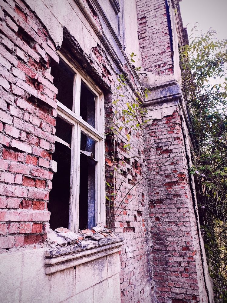 Photograph by Алексей Ларин