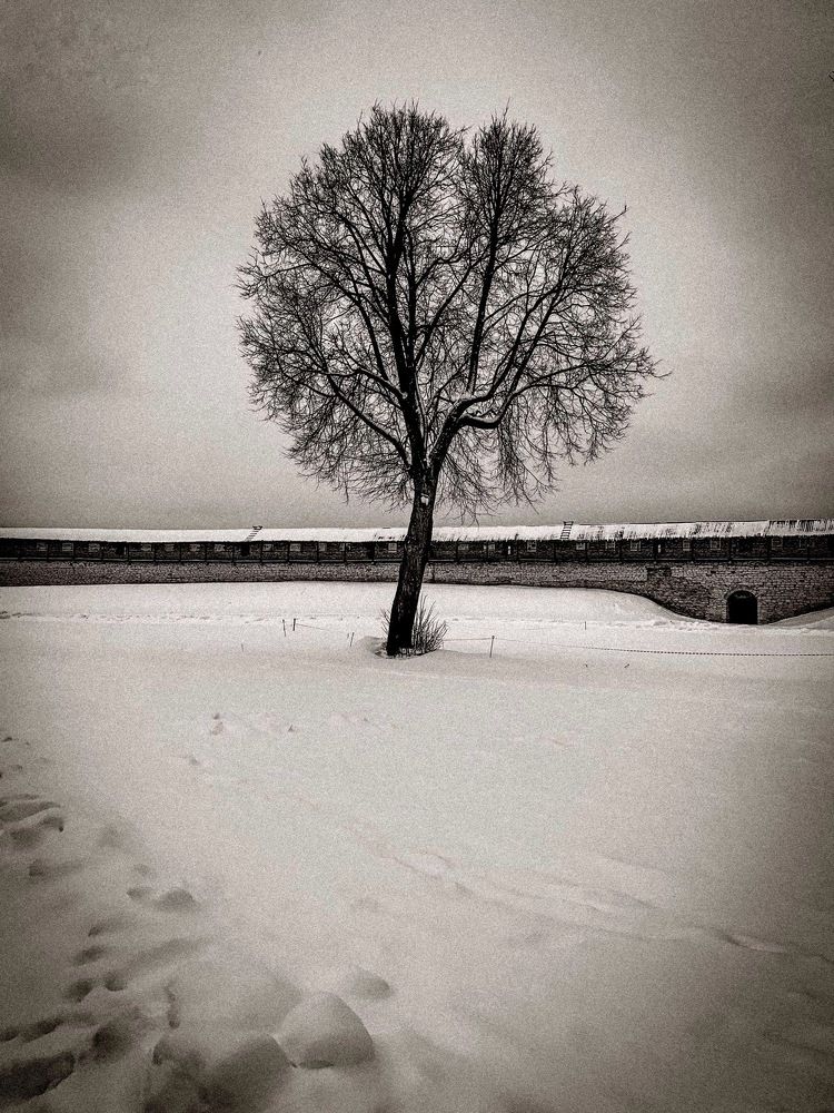 Photograph by Анна Белова