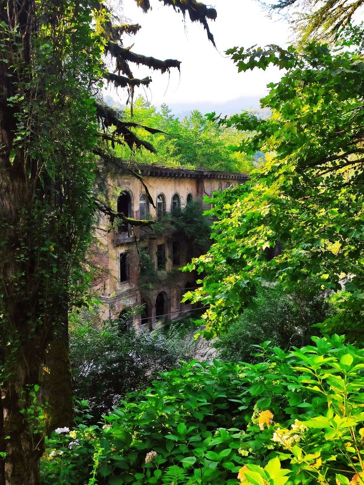 Photograph by Алексей Ларин