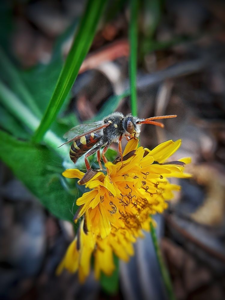 Photograph by Кристина Панченко