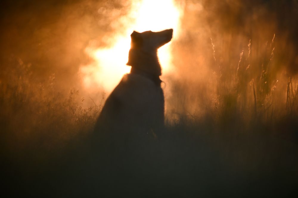 Фотография автора Anastasiya Fiodarava