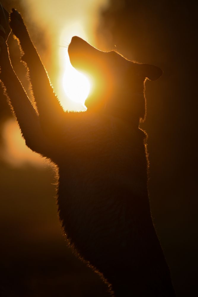 Фотография автора Anastasiya Fiodarava