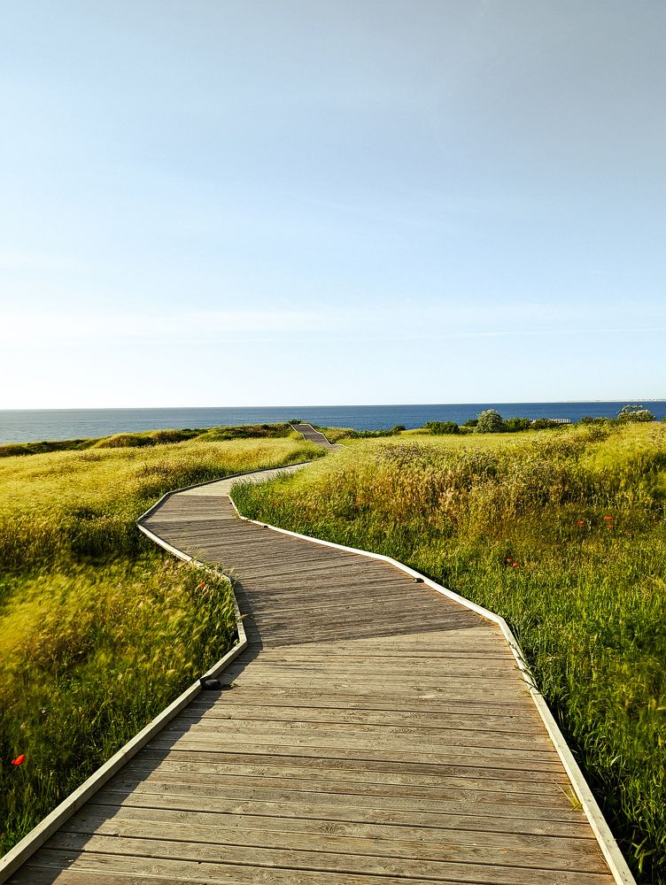 Photograph by Viktor