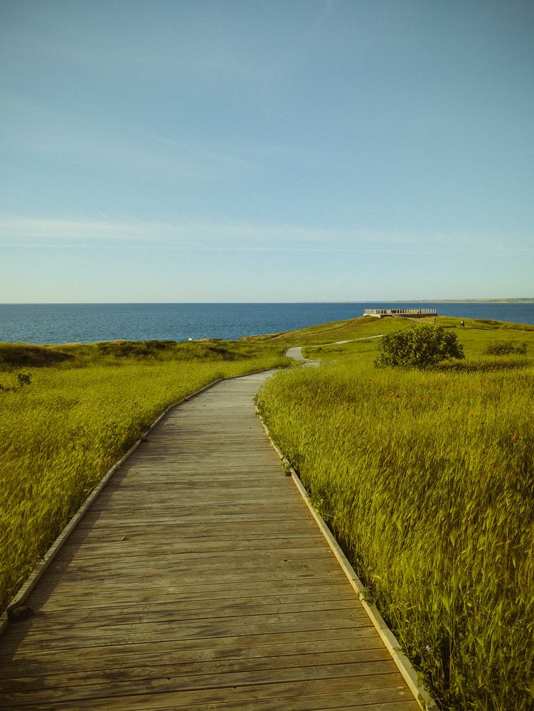 Photograph by Viktor