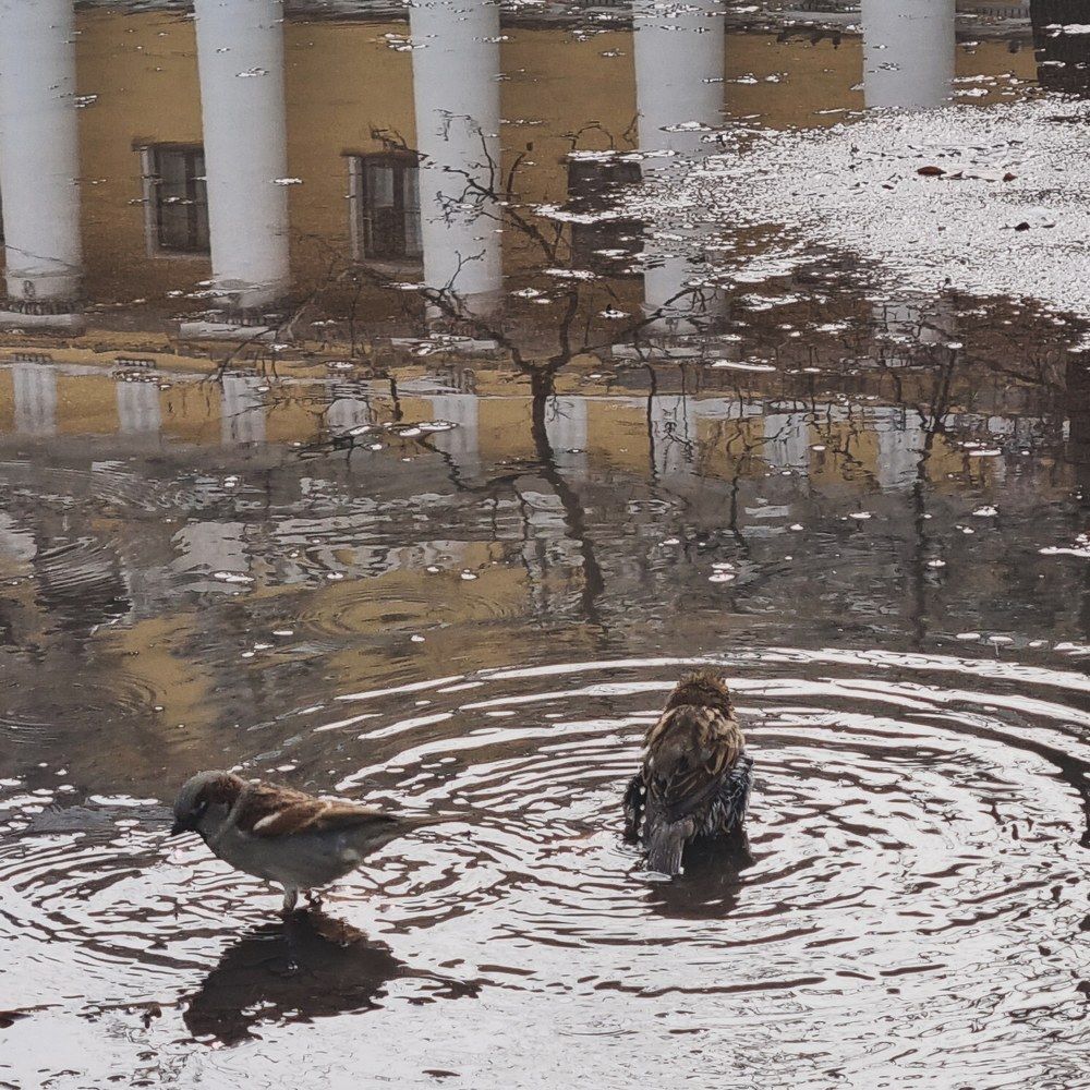 Photograph by Светлана