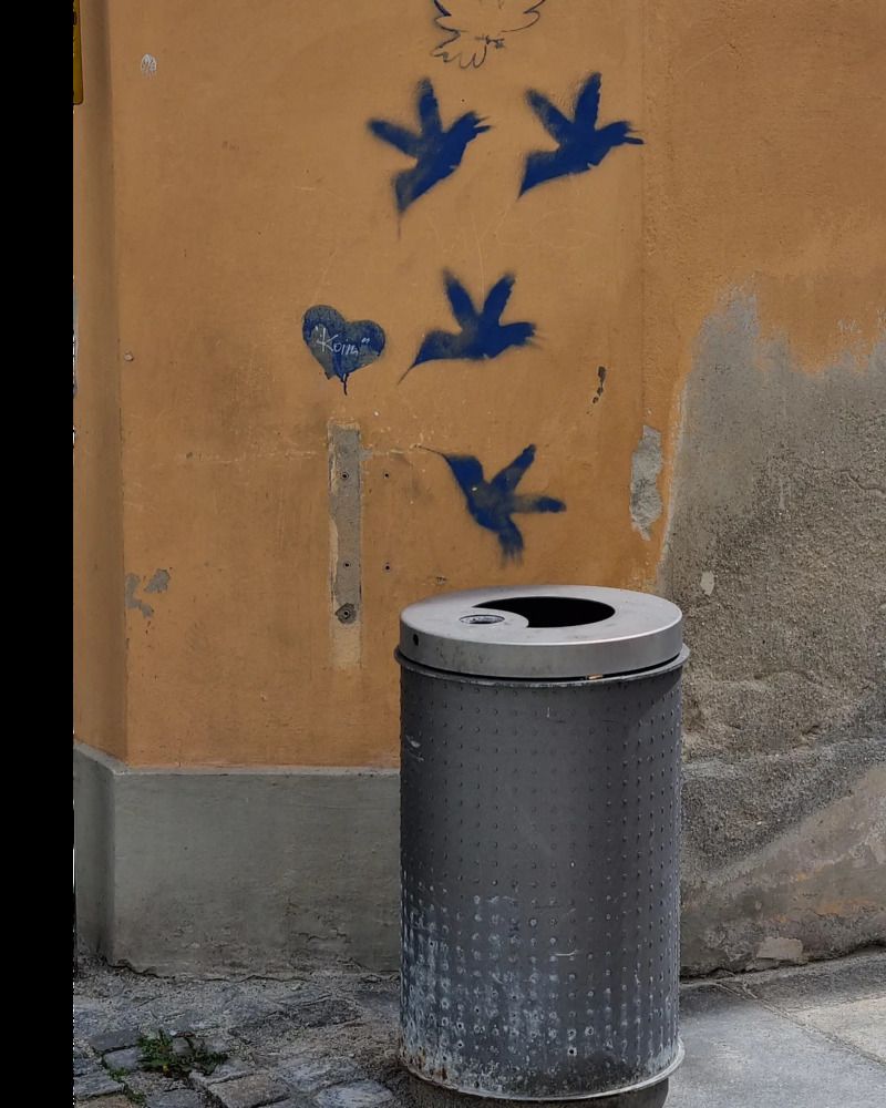 Photograph by Светлана