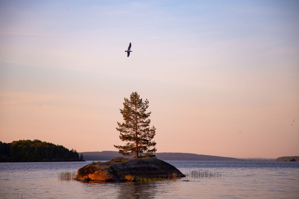 Photograph by Lev Kaufman