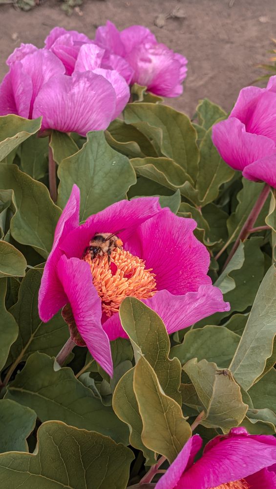 Photograph by Иван