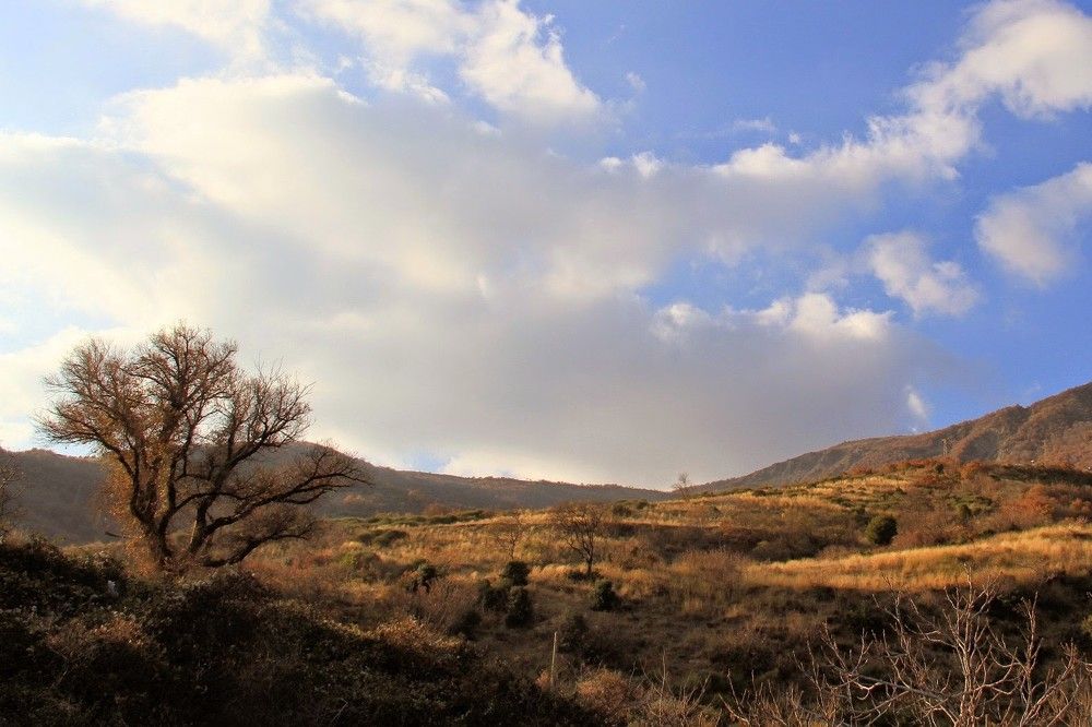 Photograph by Huseyin Mustafa Guvendag