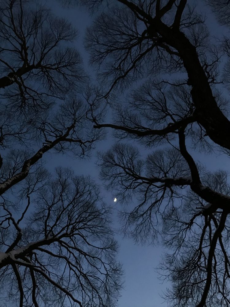 Фотография автора Мартыненко Дмитрий