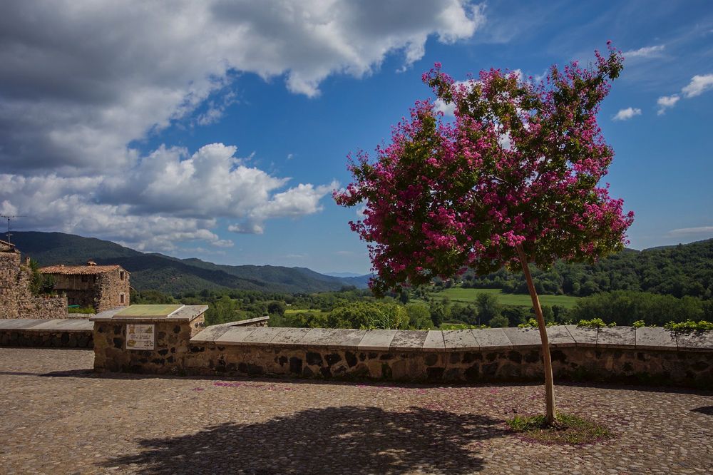 Photograph by Vasily Prokhorov